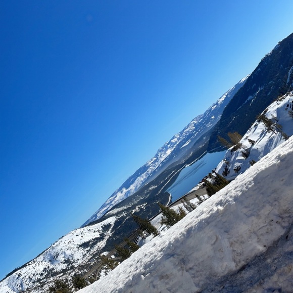 Meet your Posher, Daniel - Picture 1 of 1